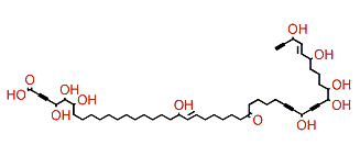 Fulvyne C